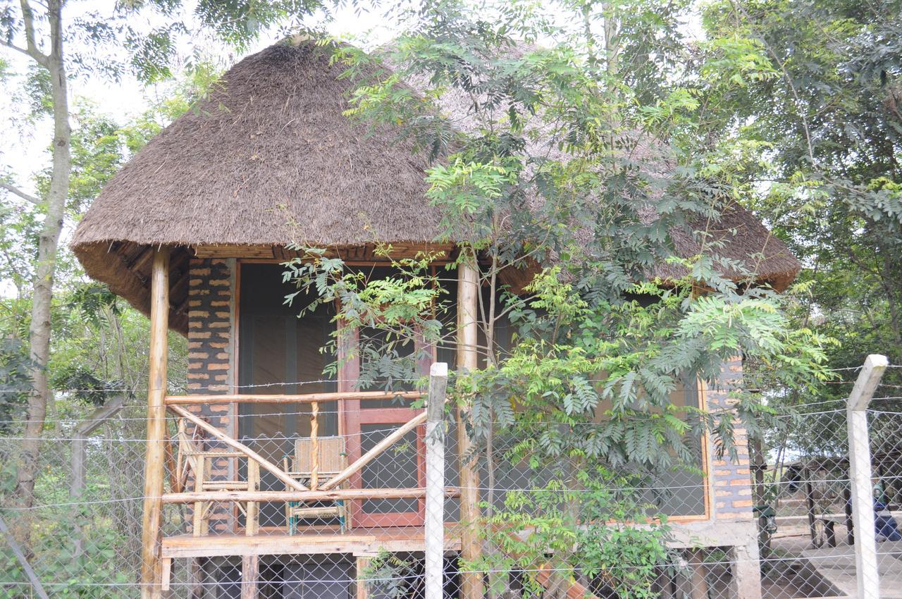 Irungu Forest Safari Lodge Katunguru Exteriér fotografie