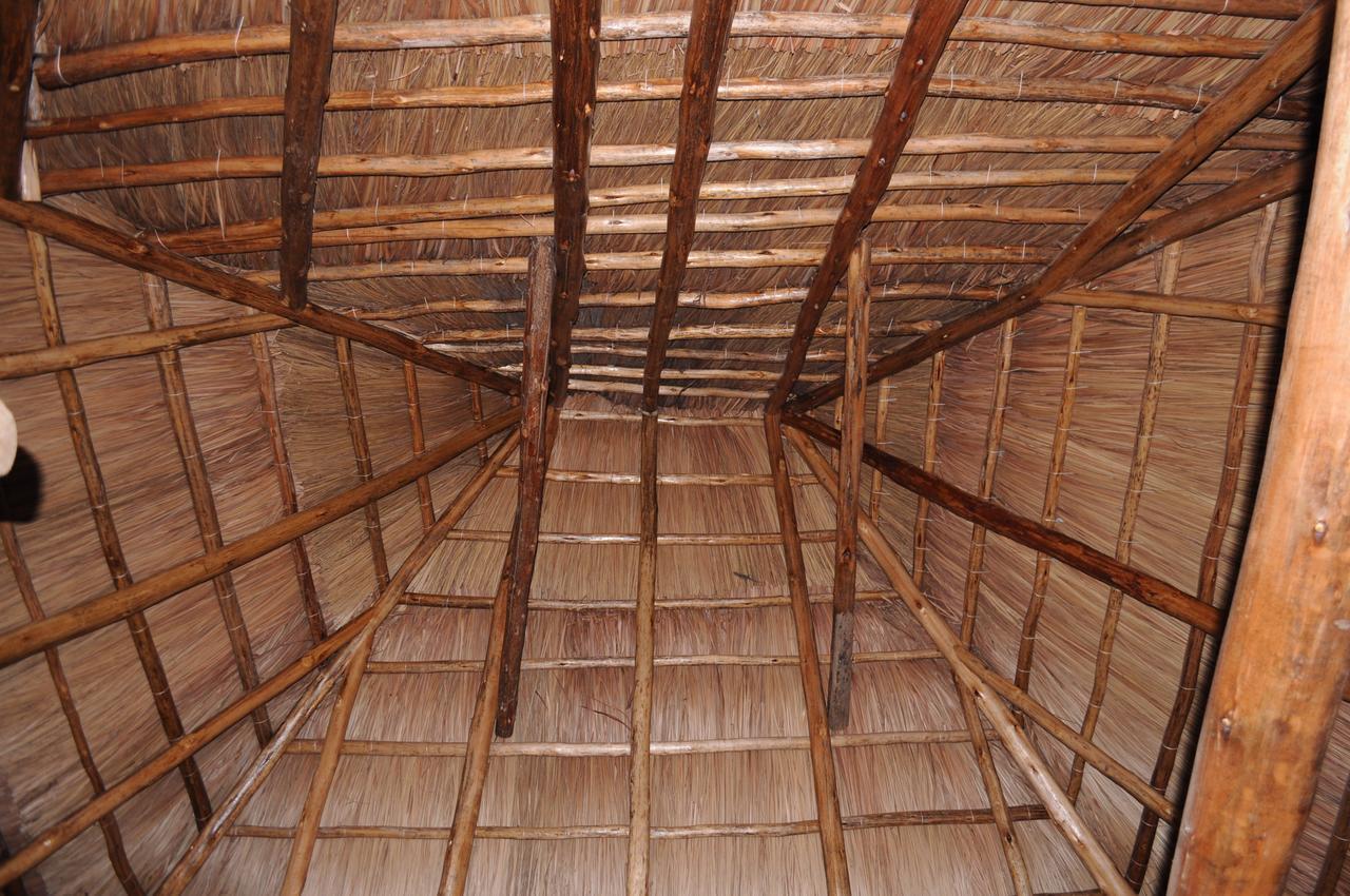 Irungu Forest Safari Lodge Katunguru Exteriér fotografie