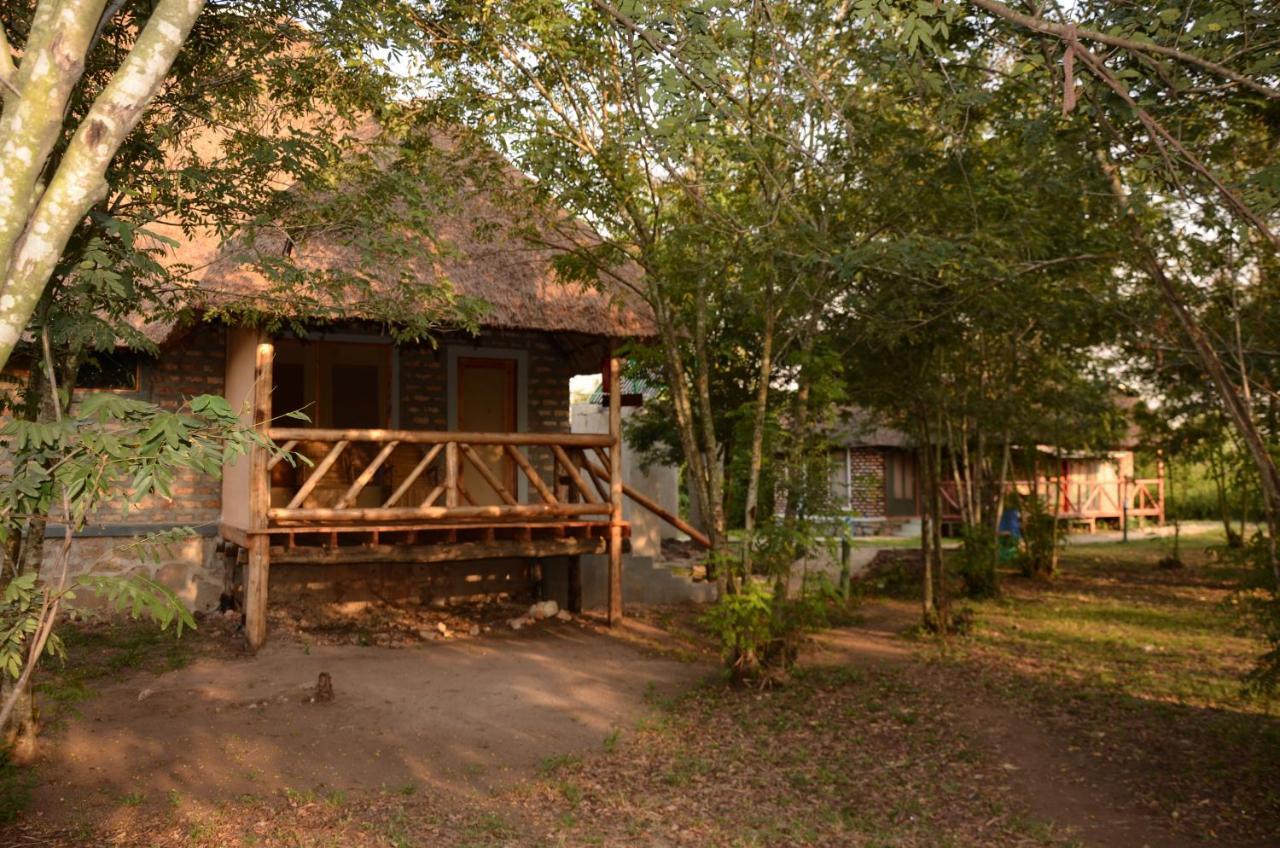 Irungu Forest Safari Lodge Katunguru Exteriér fotografie