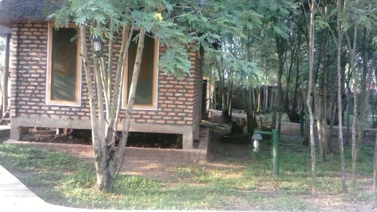 Irungu Forest Safari Lodge Katunguru Exteriér fotografie