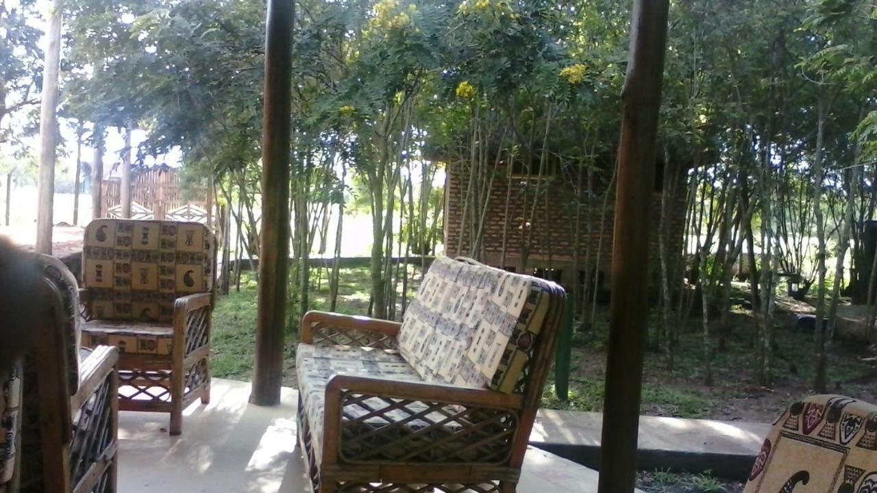 Irungu Forest Safari Lodge Katunguru Exteriér fotografie