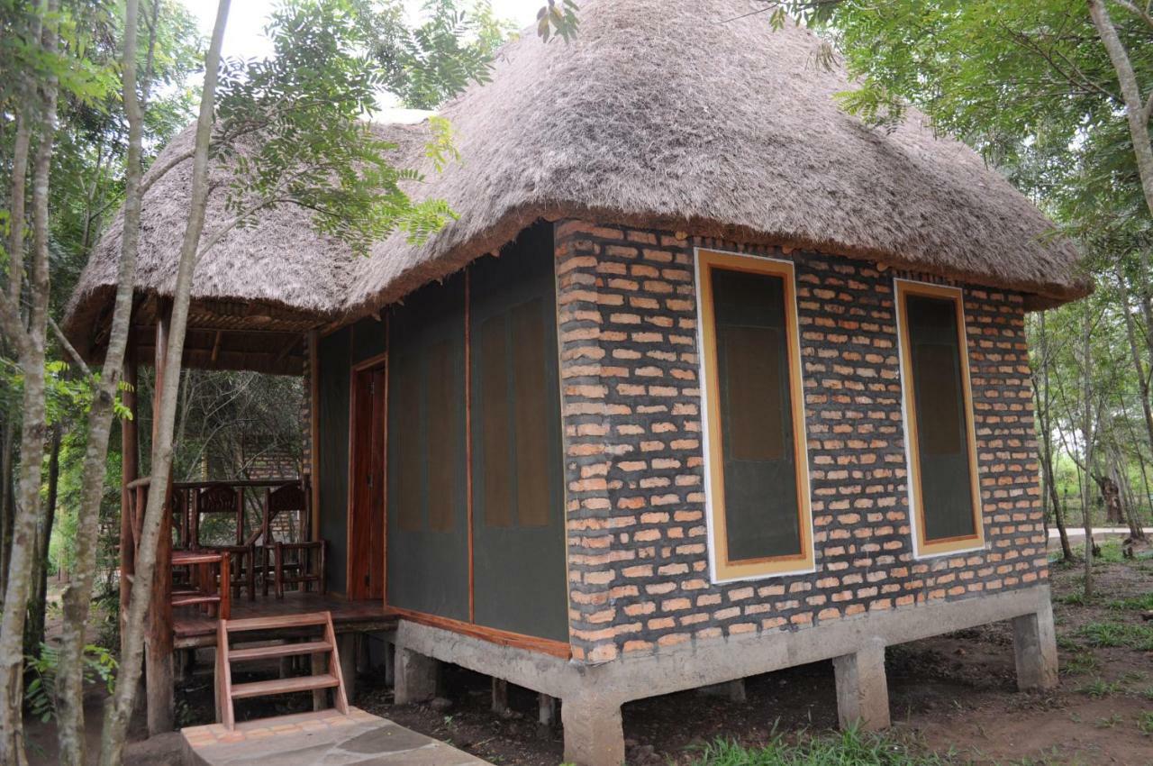 Irungu Forest Safari Lodge Katunguru Exteriér fotografie