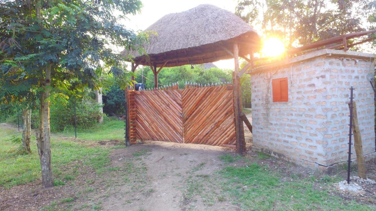 Irungu Forest Safari Lodge Katunguru Exteriér fotografie